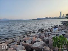 -深圳湾公园(南山区)