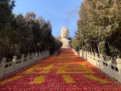 -蒙山大佛景区