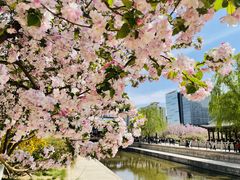 -元大都城垣遗址公园