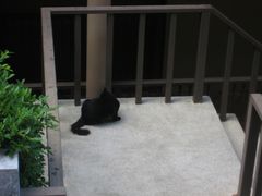 -卡伦普纳卡度假村