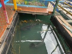 -蓝湾碧波·老字号·疍家非遗海上餐厅