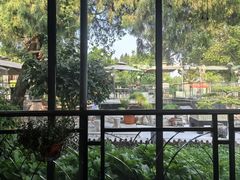 -蘇河湾·新鲁菜·泰山宴(泰山店)