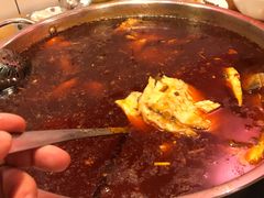 -黑龙滩生态鱼火锅(百寿路店)