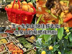 -桃源山庄·水蜜桃采摘·柴火鸡·烧烤团建(龙泉山店)