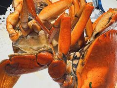 -鑫悦楼煎蟹·16年海鲜大排档