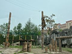 -上海野生动物园