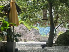 -雁荡山风景名胜区