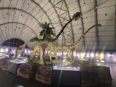 -辽宁古生物博物馆