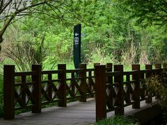 -桤木河湿地公园