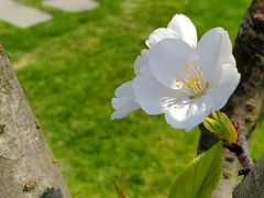 -重庆中央公园(渝北区)