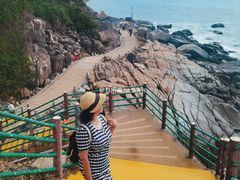-广东惠东海龟国家级自然保护区