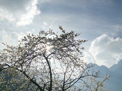 -玉龙雪山蓝月谷