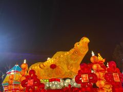 -武汉园博园(武汉自然博物馆)