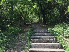 -浙江大学(玉泉校区)