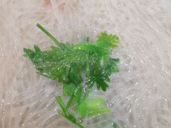 香菜-鸭小妹鸭血粉丝(老门东店)