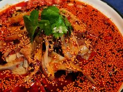 -院8里·少城记忆老川菜(宽窄巷子店)