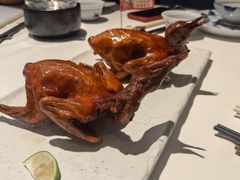 -侨美食家·40年地道粤菜(珠江新城店)