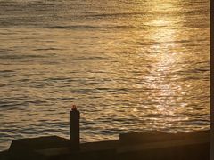 -海港城
