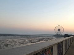 -碧海金沙