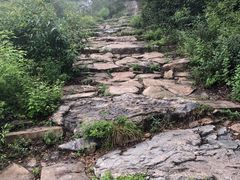 -阳台山自然风景区