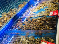 水产区-必点海鲜·鲅鱼水饺(鞍山西道店)