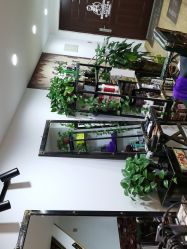 点击看大图 -ONE·男士国潮·美式渐变·理发馆·BARBER SHOP