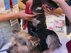 -远洋未来广场(育慧北路店)