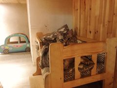 -有才叔北京时间涮肉(紫薇尚层店)