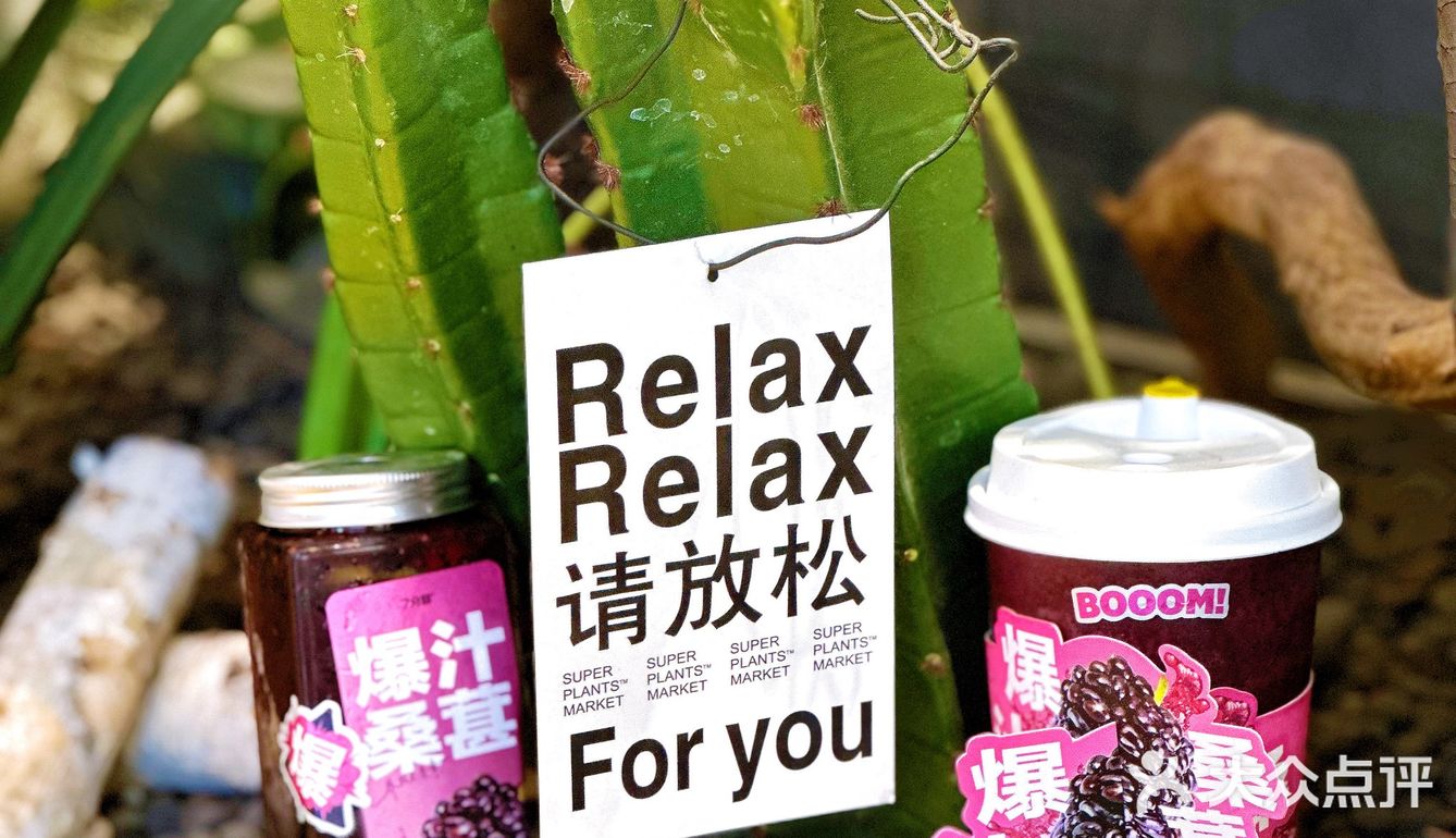 当季桑葚新品上市，FREE🉐周边！