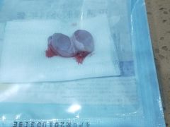 -伟伟宠物医院·CT影像中心·瑞派犬猫综合性门诊(汉口总院)