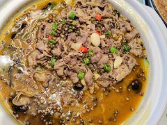 -三强鸽子(中原路店)