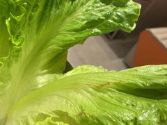 -闻老头·菊花炭烤肉(佛山首店)