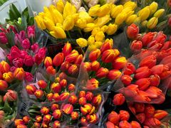 -循礼门鲜花花市(武汉循礼门店)