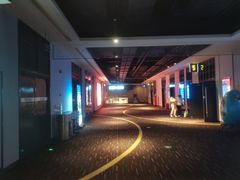 -万达影城(金山万达广场IMAX店)