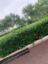-HEYAN长风荷妍专业脱毛美肤
