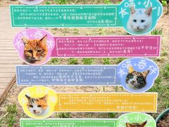 -北京市劳动人民文化宫(太庙)