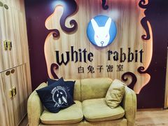 -白兔子密室(长寿路店)