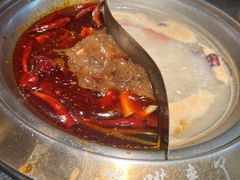 -熊喵来了火锅·牧场好肉(邯郸邯山万达店)