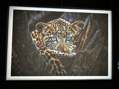 -罗红摄影艺术馆