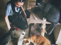 -猫咖时代(中山亭店)