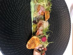 -蝶舍·MAISON PAPILLON