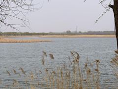 -野鸭湖国家湿地公园