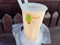 柠檬奶-猫的魔法密林(衣裳街店)