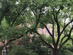 -浙江大学(玉泉校区)