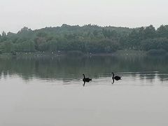 -洪湖家庭农场·团建·露营·会议