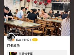 -宝源饺子(麦子店街店)