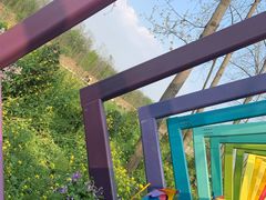 -合肥滨湖国家森林公园