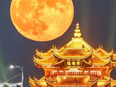 -四季美汤包(户部巷店)