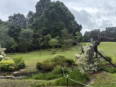 -新加坡总统府