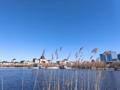 -莲花池公园